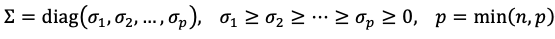 image-20250810142527949